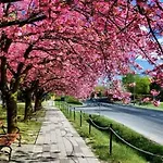 Arany Apartmanhaz Zalagyoengye * Zalakaros